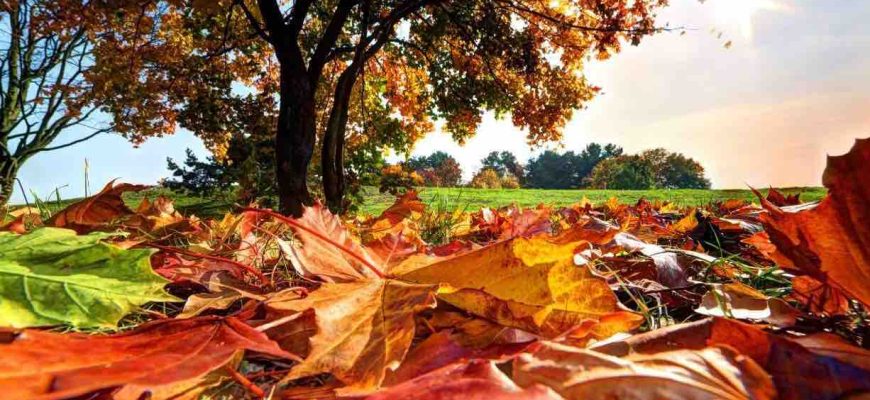 загадки про осінь на українській мові