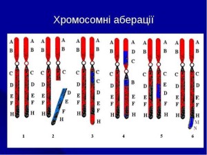 хромосомні мутації