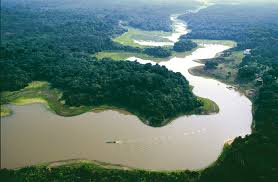 цікаві факти про амазонку