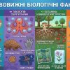 цікаві факти про біологію