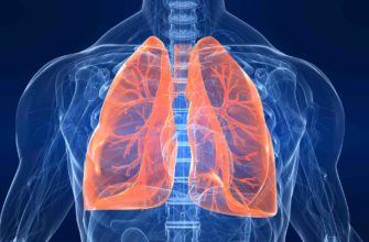 цікаві факти про легені та дихальну систему