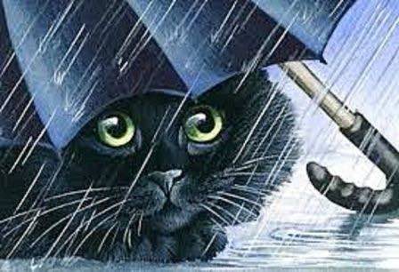 Хемінгуей Кішка на дощі скорочено