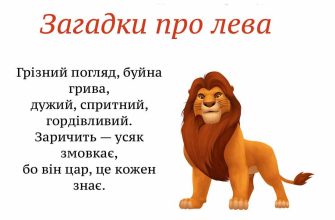 загадки про лева