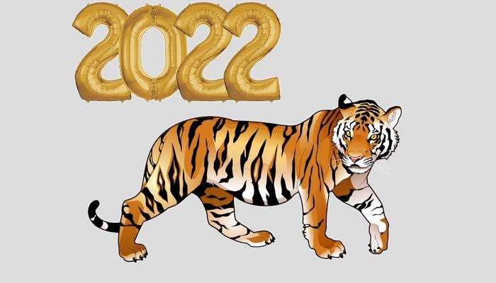 2022 рік кого якої тварини