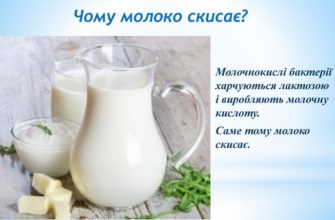 Чому кисне молоко