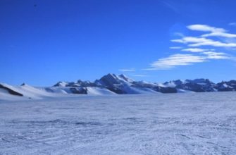 Арктична пустеля: клімат, рослини, тварини