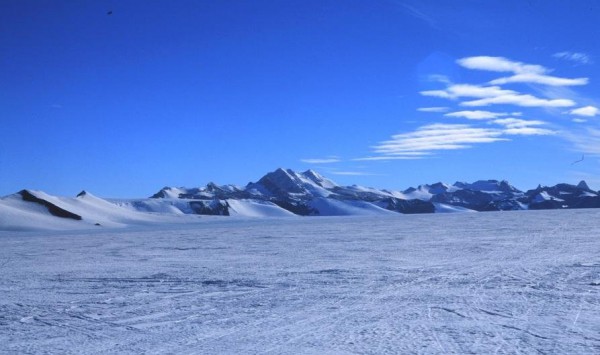 Арктична пустеля: клімат, рослини, тварини