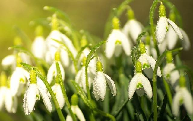 10 питальних речень про весну