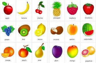 Назви фруктів англійською мовою