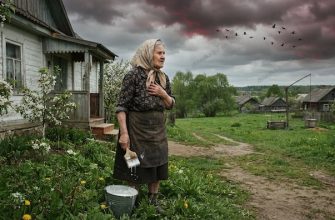 Політ журавлів над нетолоченими травами аналіз